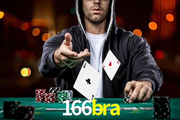 166bra App Interface